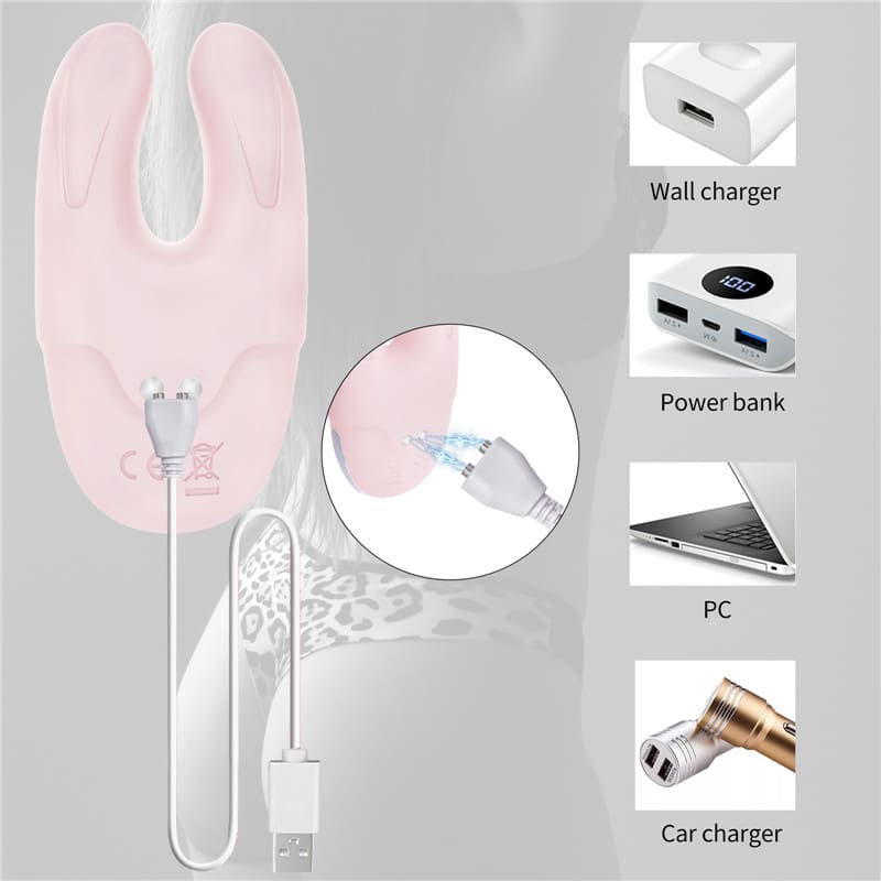 Fantasy Lover Princess Teaser Clit Vibrator