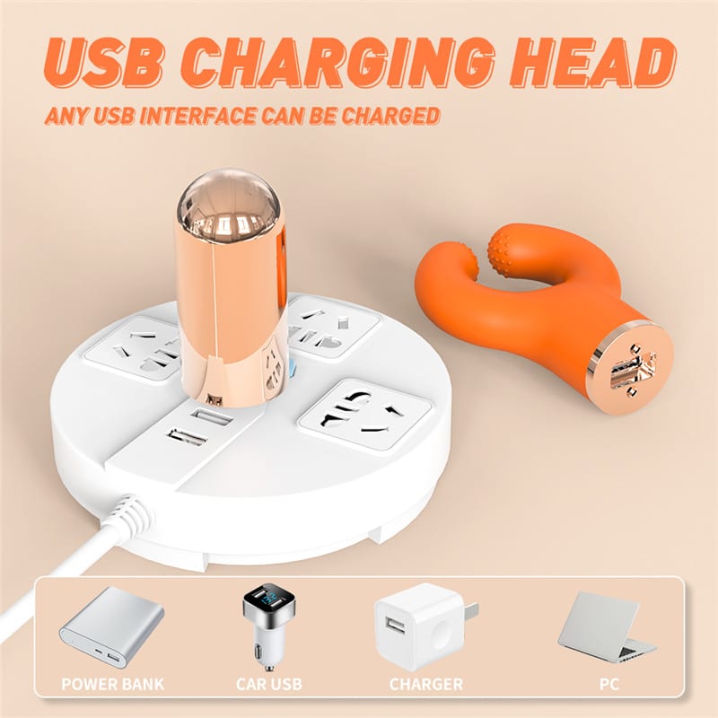 FL-R002C (5) Fantasy Lover Endless Fun Stimulator