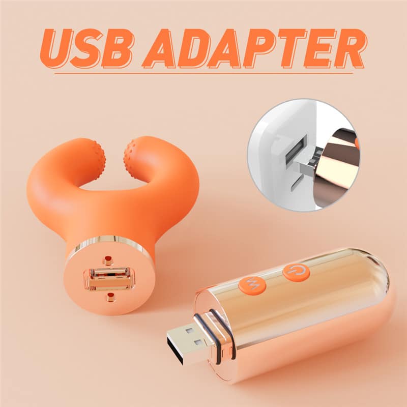 FL-R002C (8) Fantasy Lover Endless Fun Stimulator